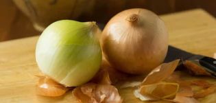 The use of onion peels for cucumbers, how to water and feed