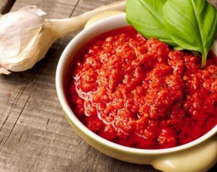 8 populiariausi receptai ruošiant adžiką iš pomidorų ir česnakų nevirinant žiemai