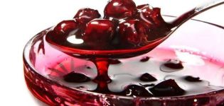 8 skanūs vyšnių uogienės receptai penkios minutės žiemai