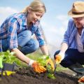Gardener's lunar planting calendar for may 2020, favorable days