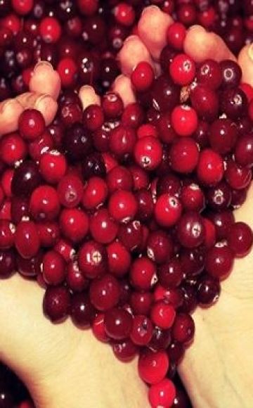 Mga nangungunang 3 mga recipe para sa mga frozen lingonberry para sa taglamig sa bahay