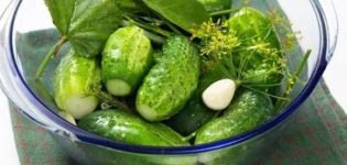 33 lækre og lette opskrifter til fremstilling af syltede grøntsager til vinteren
