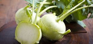 Growing and caring for Kohlrabi cabbage in the open field