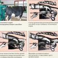 Description of the visocervical method of insemination of cows, instruments and scheme