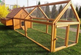 How to build a chicken coop for 20 chickens with your own hands, dimensions and drawings