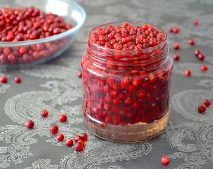 Mga nangungunang 3 mga recipe para sa taglamig ng lingonberry sa syrup na walang pagluluto