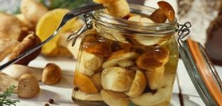 Công thức đơn giản để muối nấm porcini cho mùa đông tại nhà
