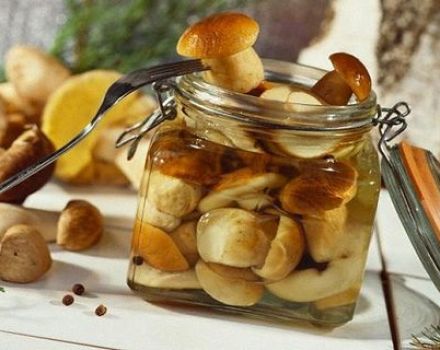Simple recipes for salting porcini mushrooms for the winter at home