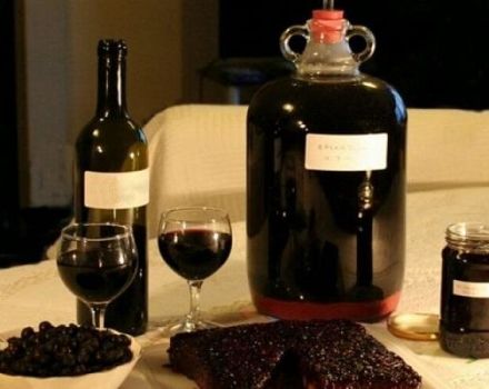11 prostych przepisów na robienie wina z irgi w domu
