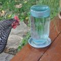 Arten und Installation von Trinkschalen für Hühner, wie man es selbst macht