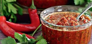 Les meilleures recettes traditionnelles abkhazes pour l'adjika épicé pour l'hiver
