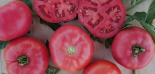 Egenskaper och beskrivning av den rosa bushf1-tomatsorten, dess utbyte