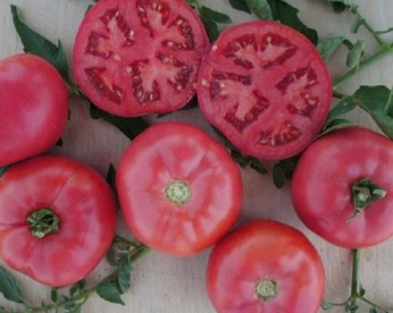 Rausvųjų krūmo f1 pomidorų veislės charakteristikos ir aprašymas, derlius