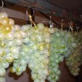 How to properly store grapes at home for the winter in the refrigerator and cellar