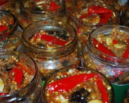 Ang pinakamahusay na mga recipe para sa pagluluto ng talong sa Armenian para sa taglamig