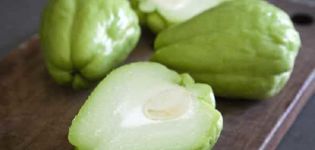 Beschrijving van de Mexicaanse komkommersoort, teeltkenmerken en opbrengst