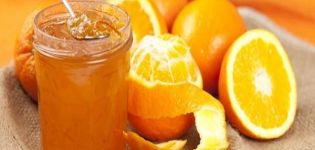 Step-by-step recipes for making orange jam at home for the winter