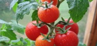 Descripción de la variedad de tomate Severenok y sus características.