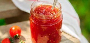 TOP 13 resepti tomaattimausteiden keittämiseen talveksi