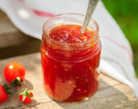 TOP 13 recetas para cocinar condimentos de tomate para el invierno