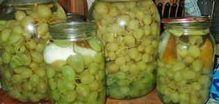 17 beste recepten voor het oogsten van druiven voor de winter thuis