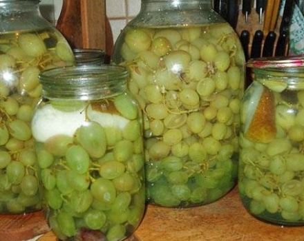 17 mejores recetas para la vendimia de la uva para el invierno en casa