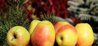 Descripción de la variedad de manzana Rossoshanskoe Tasty (Amazing), cultivo y cuidado.