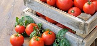 Tretjakovskio pomidorų veislės charakteristikos ir aprašymas, derlius