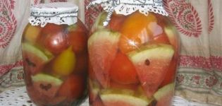 6 migliori ricette per cucinare pomodori con anguria per l'inverno senza sterilizzazione