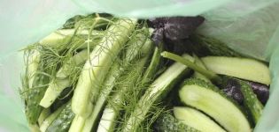 Opskrift til trinvis tilberedning af shaker agurker