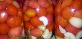 Przepisy na marynowanie pomidorów w occie jabłkowym na zimę