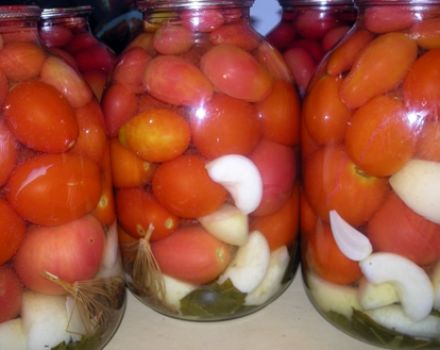 Recept för betning av tomater med äppelcidervinäger för vintern