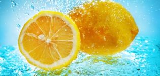 Perché il limone è utile e dannoso per il corpo umano, proprietà e controindicazioni