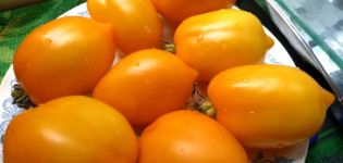 Characteristics and description of the tomato variety Wonder of the World, its yield