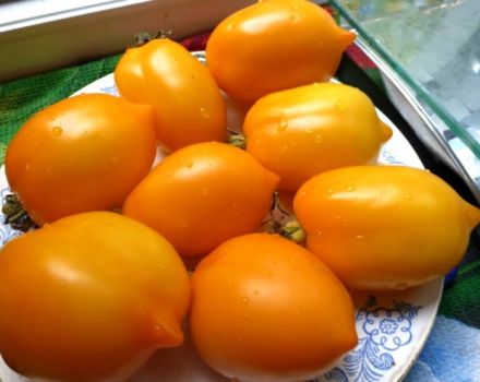 Tomaattilajikkeen ominaisuudet ja kuvaus Wonder of the World, sen sato