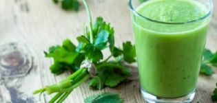 Useful properties and contraindications of parsley for weight loss