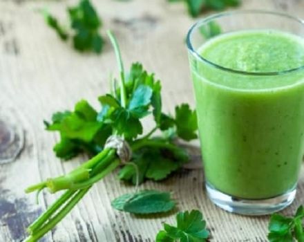 Useful properties and contraindications of parsley for weight loss