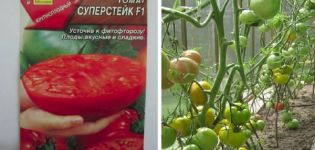 Beskrivelse af tomatsorten Super Steak og dens udbytte og dyrkning