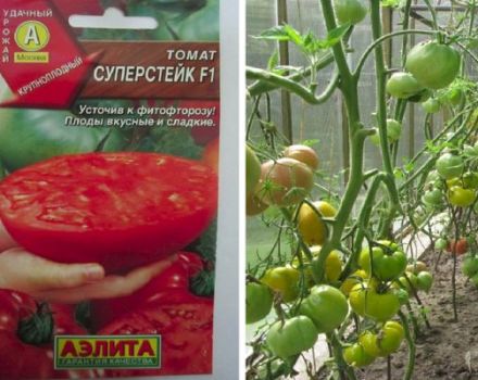 Descripción de la variedad de tomate Super Steak y su rendimiento y cultivo