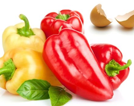 Kako možete hraniti paprike nakon sadnje u zemlju za bogatu žetvu