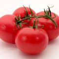 Solerosso tomātu šķirnes raksturojums, raža