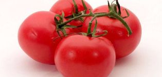 Charakteristiky odrody paradajok Solerosso, jej výnos