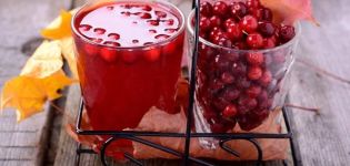6 senzilles receptes per fer vi de lingonberry a casa