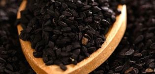 Hoe zwarte uien uit zaden te laten groeien en wanneer ze uit de tuin moeten worden verwijderd