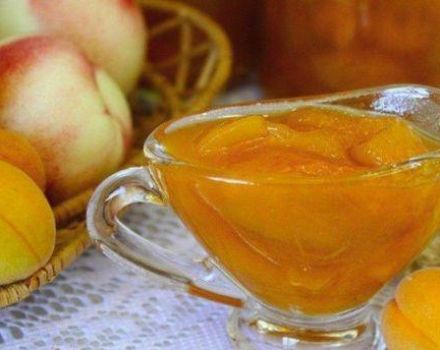 Wie man Aprikosen- und Pfirsichmarmelade für den Winter zusammen kocht