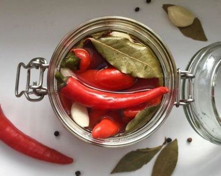 5 labākās receptes marinētu papriku pagatavošanai armēņu valodā ziemai