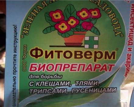 Norādījumi par Fitoverma no Kolorādo kartupeļu vaboles lietošanu produkta atšķaidīšanai