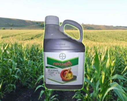 Instructions for use of the fungicide Prozaro and consumption rate