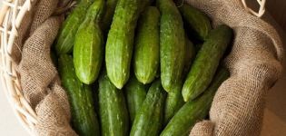 Beschrijving van komkommers van de Relay-variëteit, hun teelt en opbrengst