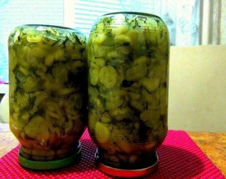 Ett enkelt steg-för-steg-recept för saltning av krispiga gurkor med lök för vintern